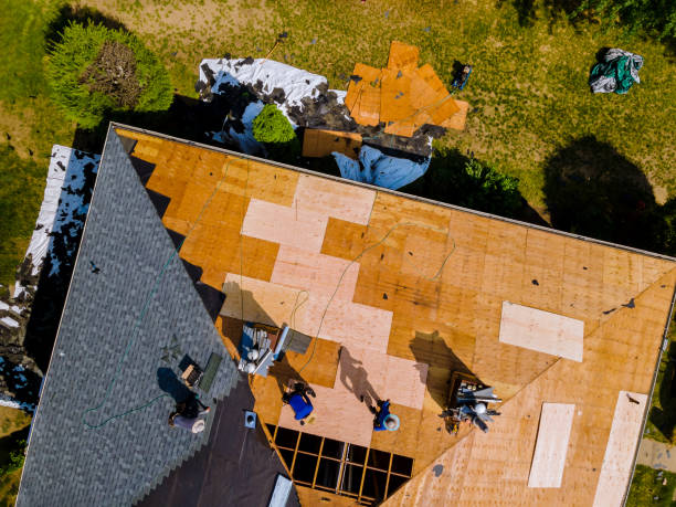 Best Roof Gutter Cleaning  in Mason City, IA