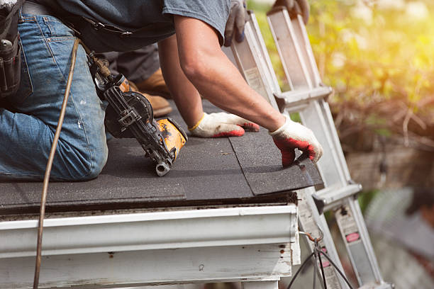 Best Roof Gutter Cleaning  in Mason City, IA
