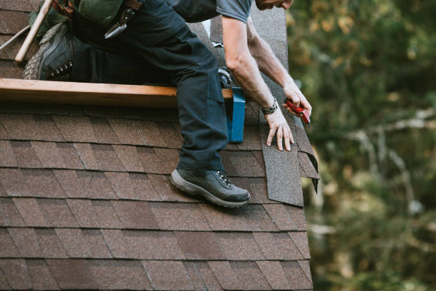 Best Metal Roofing Contractor  in Mason City, IA